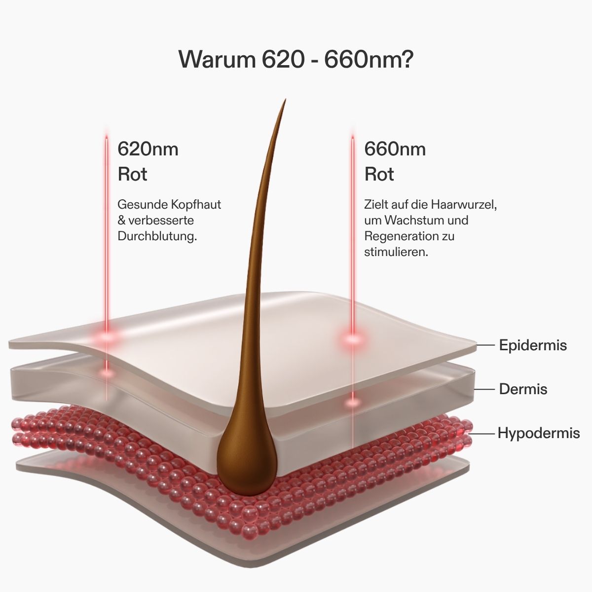 CurrentBody Skin LED Gerät gegen Haarausfall GQ